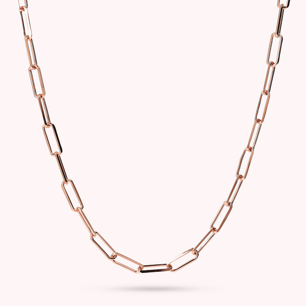 Paperclip Necklace with Elongated Forzatina Chain